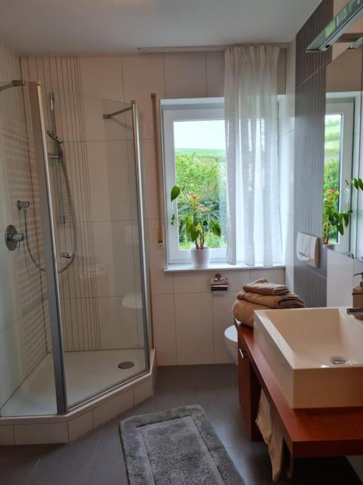 Ferienwohnung Panoramablick Bad Mergentheim Buitenkant foto